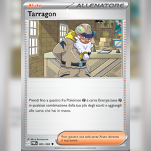 085/088 Tarragon | Equilibrio Perfetto