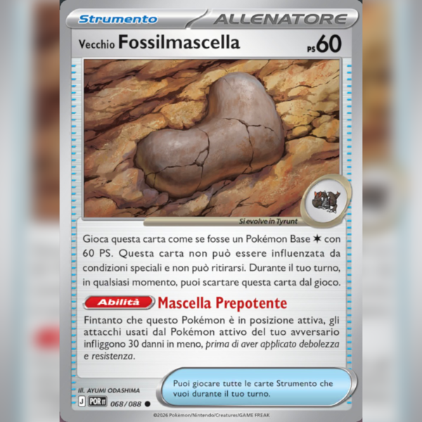 068/088 Vecchio Fossilmascella | Equilibrio Perfetto