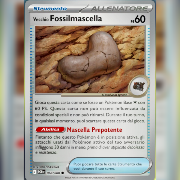 068/088 Vecchio Fossilmascella Reverse | Equilibrio Perfetto