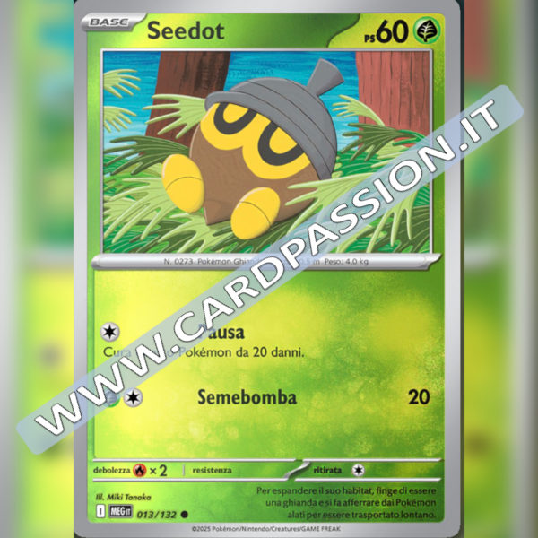 013/132 Seedot Reverse | Megaevoluzione