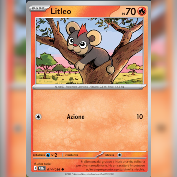 014/086 Litleo | Caos Nascente