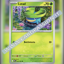 005/094 Lotad | Fiamme Spettrali