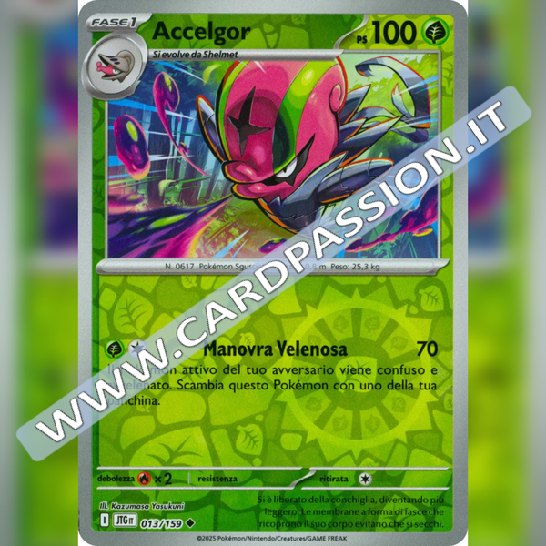 013/159 Accelgor Reverse | Avventure Insieme