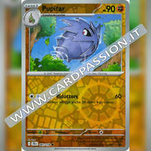 081/159 Pupitar Reverse | Avventure Insieme