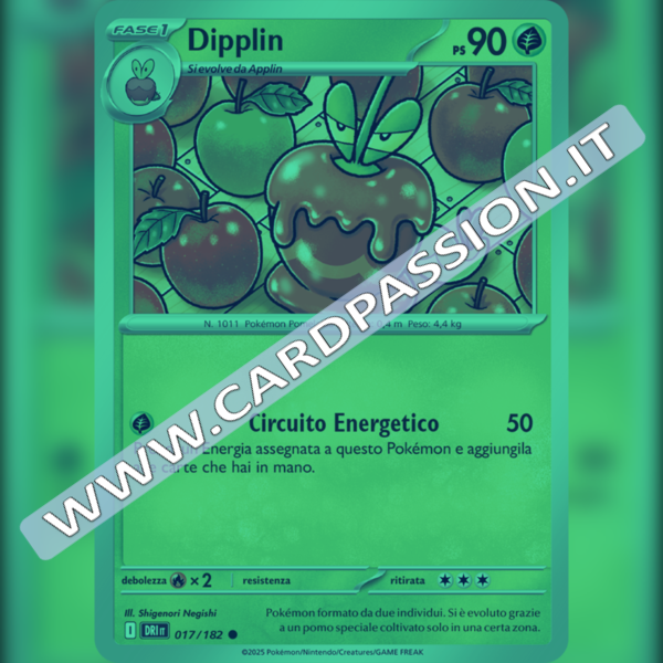 017/182 Dipplin Reverse | Rivali Predestinati