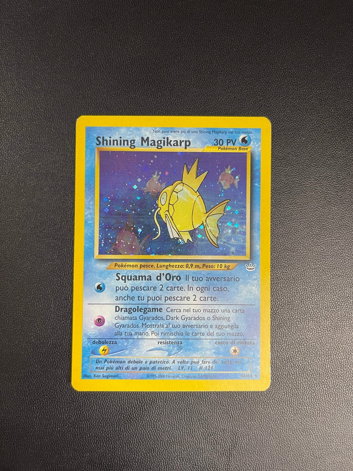 66/64 Shining Magikarp Near Mint | Neo Revelation (IT)