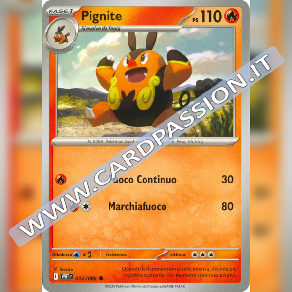 012/086 Pignite | Fuoco Bianco