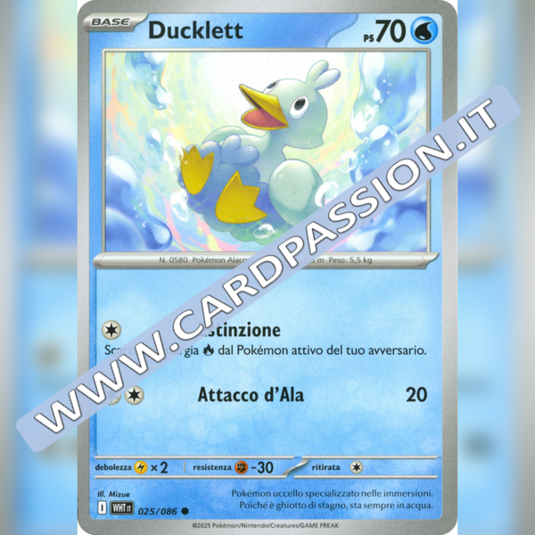 025/086 Ducklett | Fuoco Bianco