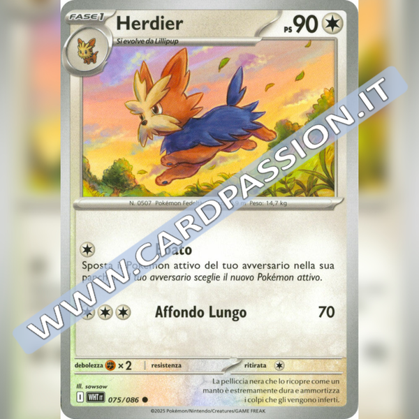 075/086 Herdier | Fuoco Bianco