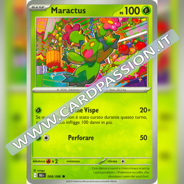 008/086 Maractus | Luce Nera