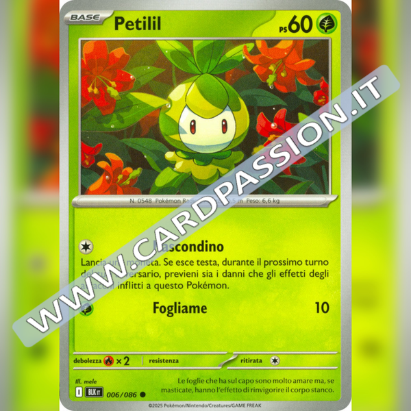 006/086 Petilil | Luce Nera