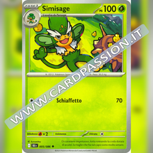 005/086 Simisage | Luce Nera