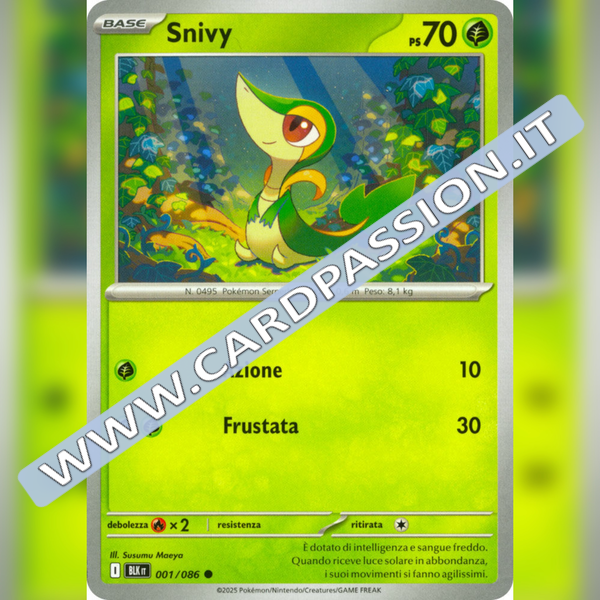 001/086 Snivy | Luce Nera