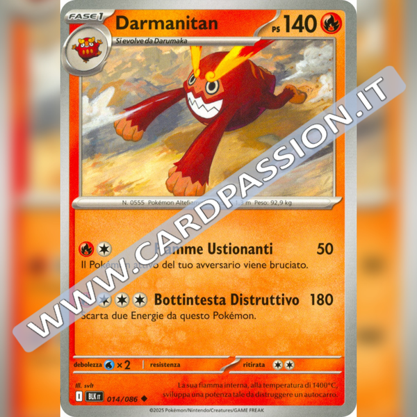 014/086 Darmanitan | Luce Nera