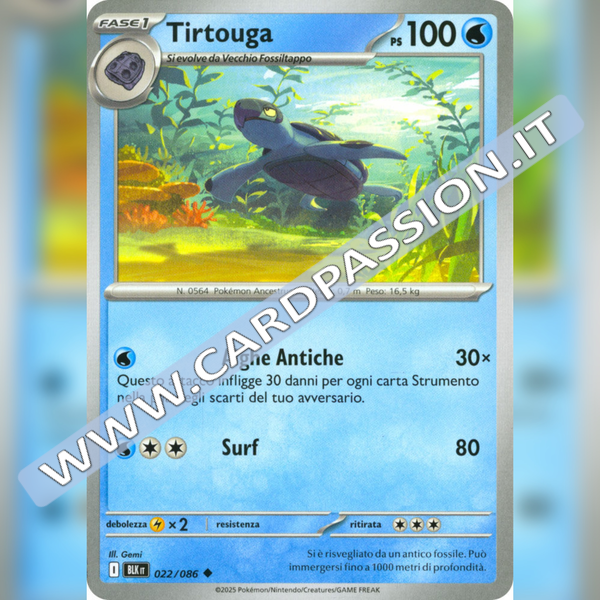 022/086 Tirtouga | Luce Nera