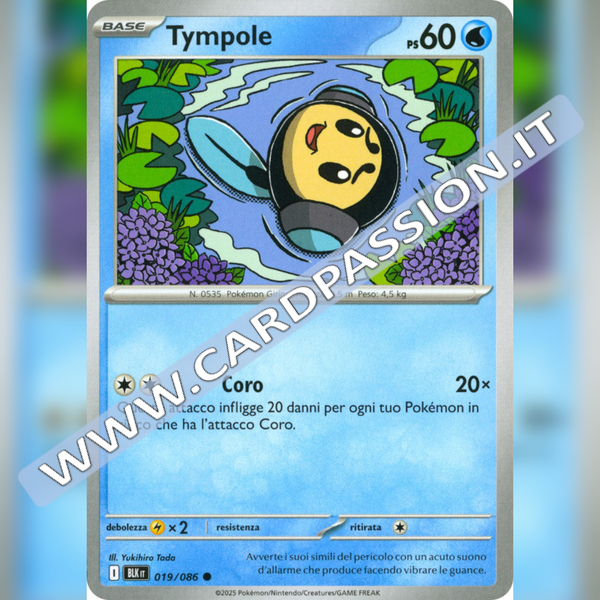 019/086 Tympole | Luce Nera