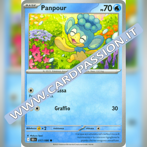 017/086 Panpour | Luce Nera
