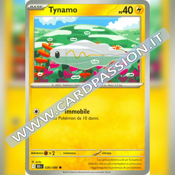 030/086 Tynamo | Luce Nera