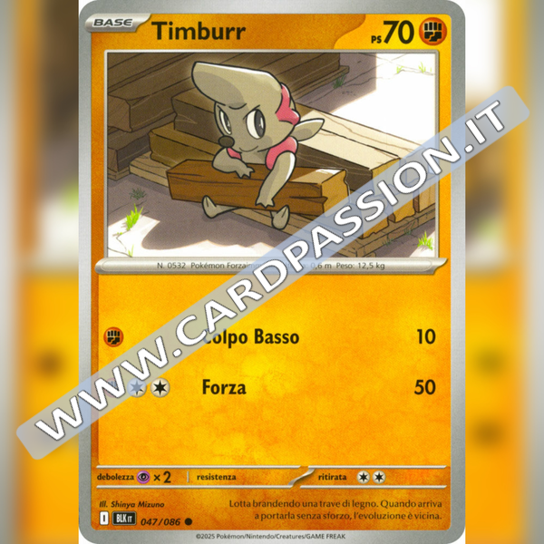 047/086 Timburr | Luce Nera