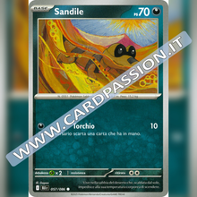 057/086 Sandile | Luce Nera