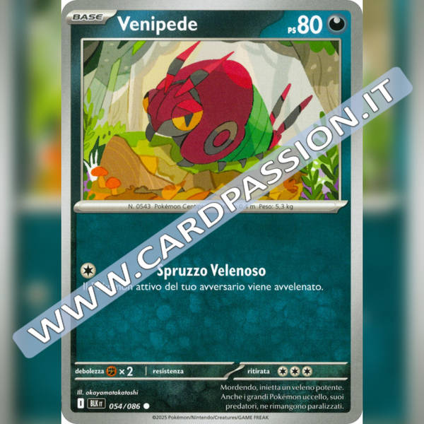 054/086 Venipede | Luce Nera