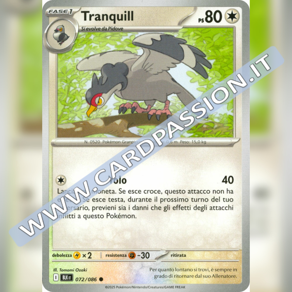072/086 Tranquill | Luce Nera