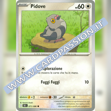 071/086 Pidove | Luce Nera