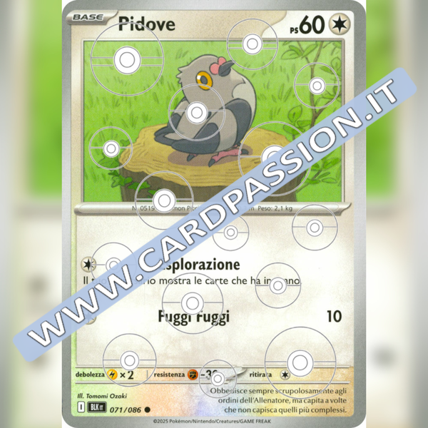 071/086 Pidove Poke Ball Reverse | Luce Nera