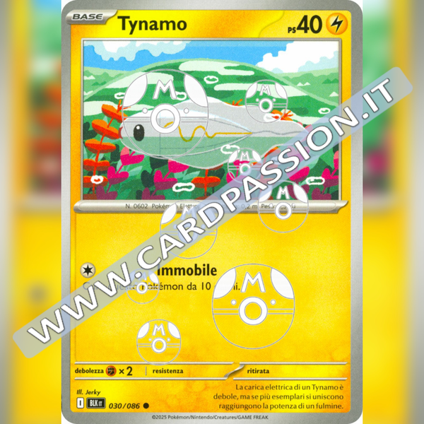 030/086 Tynamo Master Ball Reverse | Luce Nera