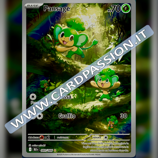 089/086 Pansage Illustrazione Rara | Luce Nera