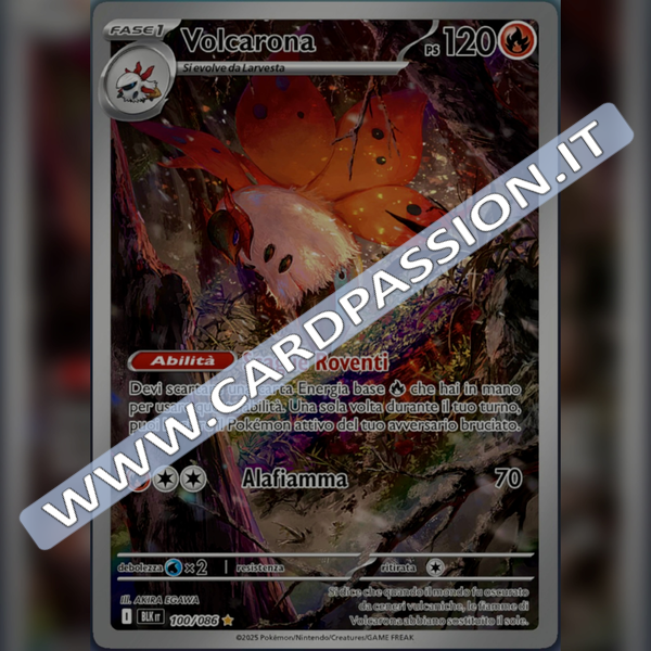 100/086 Volcarona Illustrazione Rara | Luce Nera