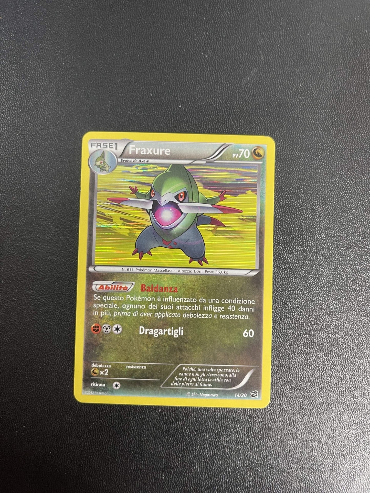 14/20 Fraxure Holo (Excellent) | Tesoro dei Draghi