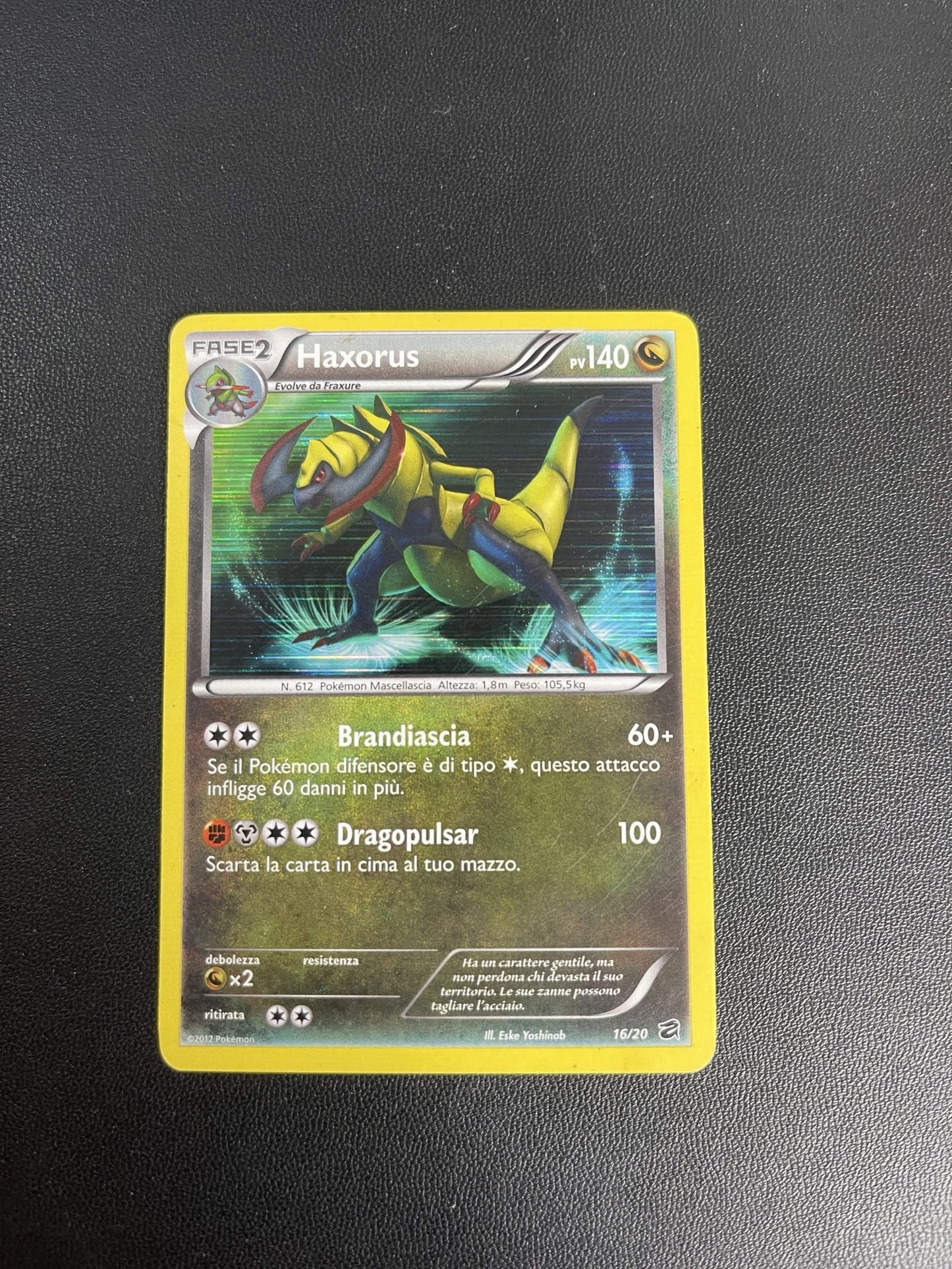 16/20 Haxorus Holo  (Near Mint) | Tesoro dei Draghi