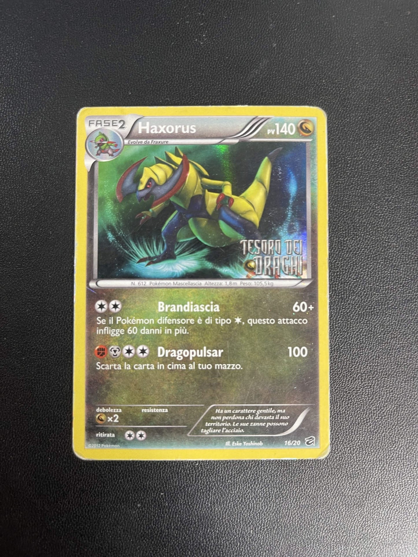 16/20 Haxorus Holo Stamped (Poor) | Tesoro dei Draghi