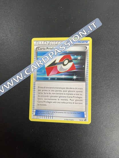 19/20 Carta Privilegio Holo (Near Mint) | Tesoro dei Draghi