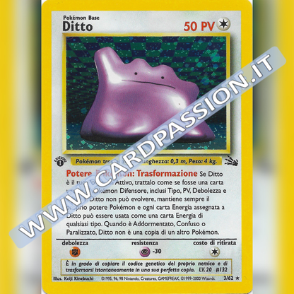 3/62 Ditto Holo Prima Edizione Near Mint | Set Fossil (IT)