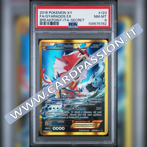 123/122 Gyarados EX Rara Segreta | Turbo Crash - PSA 8