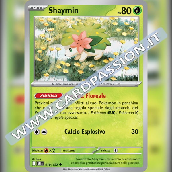 010/182 Shaymin | Rivali Predestinati