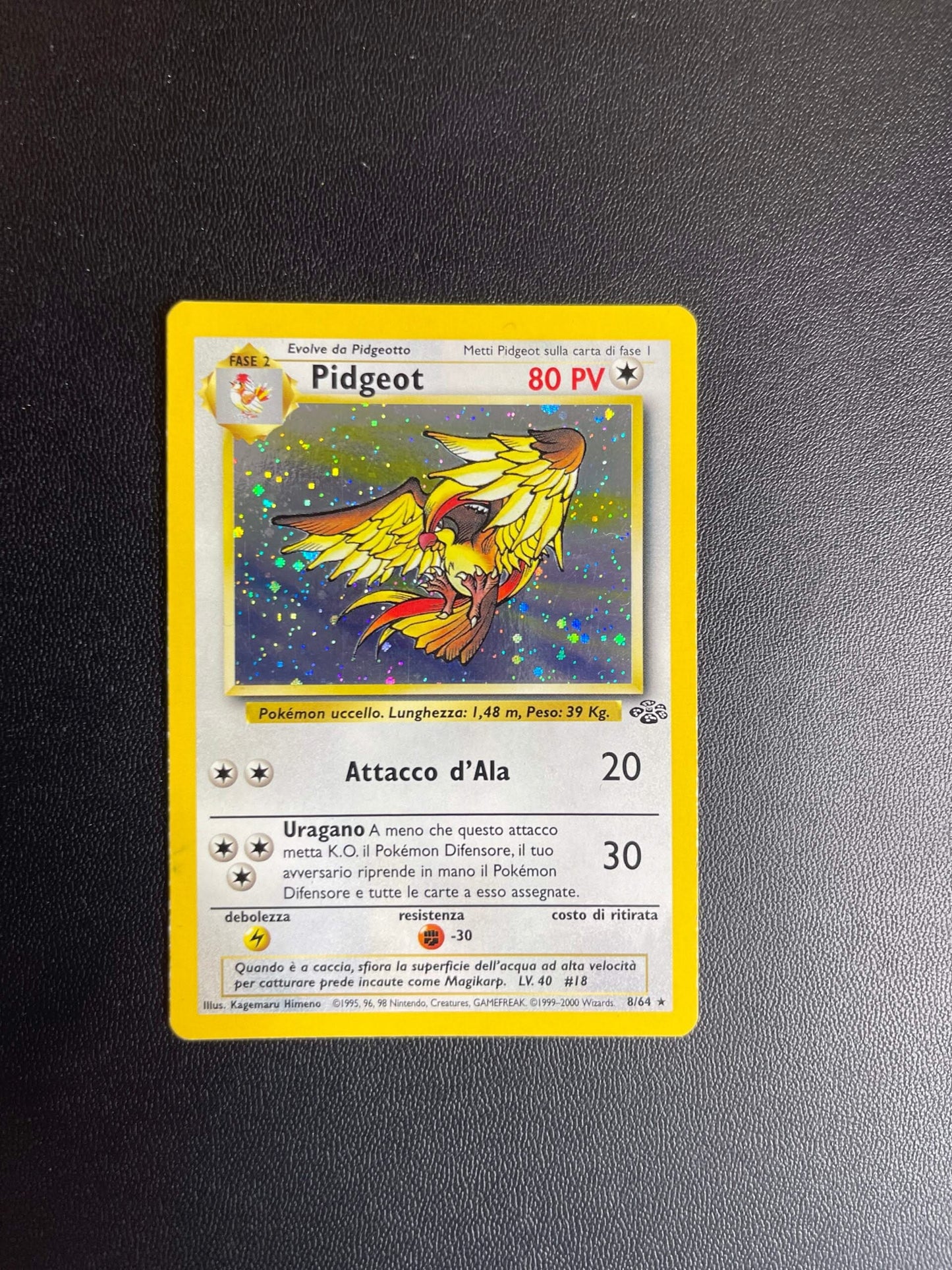 8/64 Pidgeot Holo Excellent | Set Jungle (IT)