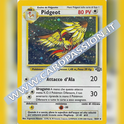 8/64 Pidgeot Holo Excellent | Set Jungle (IT)