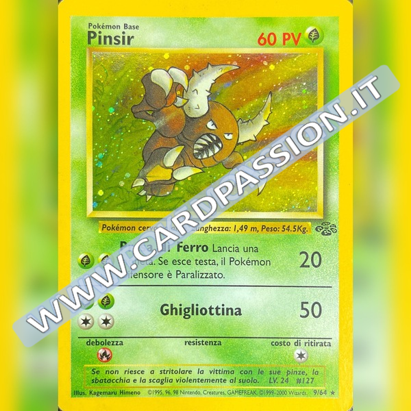 9/64  Pinsir Holo Played | Set Jungle (IT)
