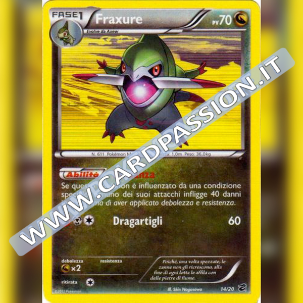14/20 Fraxure Holo (Excellent) | Tesoro dei Draghi