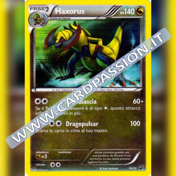 16/20 Haxorus Holo  (Near Mint) | Tesoro dei Draghi