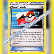19/20 Carta Privilegio Holo (Near Mint) | Tesoro dei Draghi