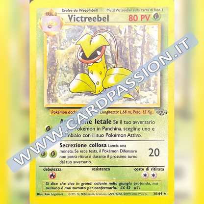 30/64 Victreebel Near Mint | Set Jungle (IT)